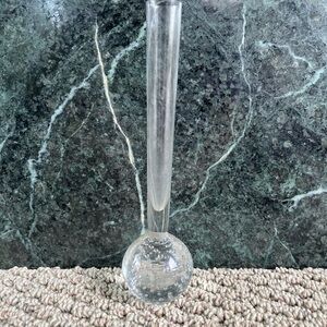 Clear Glass Bubble Bud Propagating  Vase